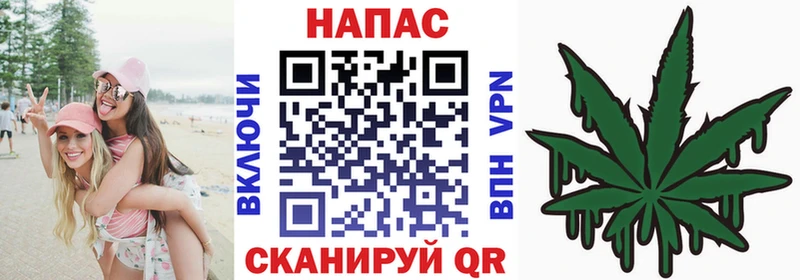 гидра ТОР  купить закладку  Приволжск  Бошки Шишки семена 